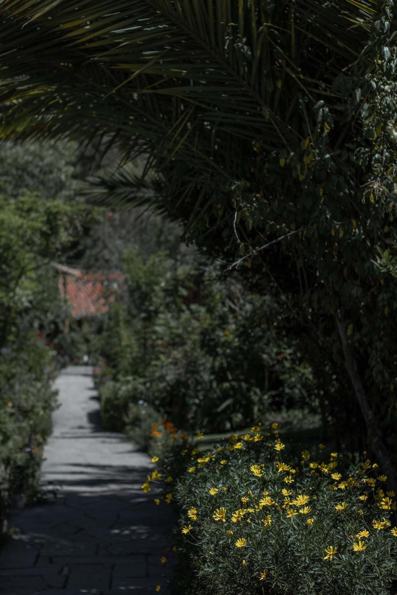 Andean Wings Valley Urubamba Exterior foto